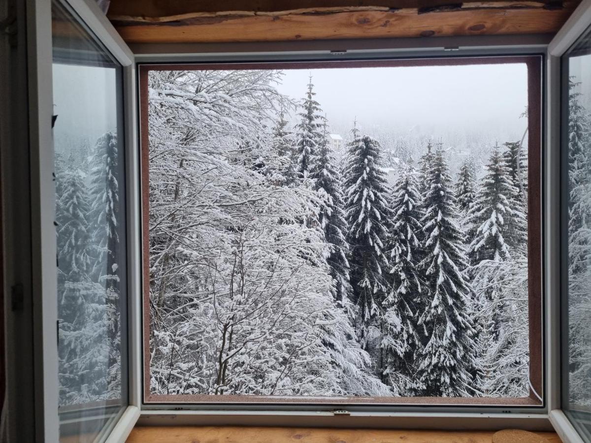 Studio Potocic Kopaonik Exterior foto